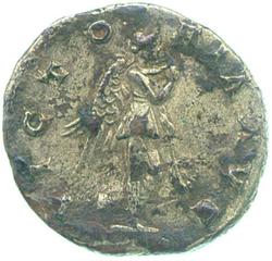 An image of Denarius