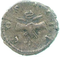 An image of Denarius