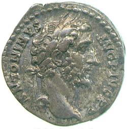 An image of Denarius