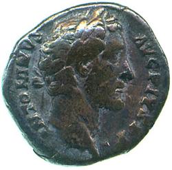 An image of Denarius