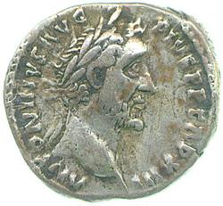 An image of Denarius