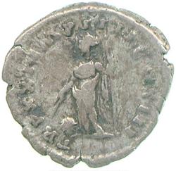 An image of Denarius