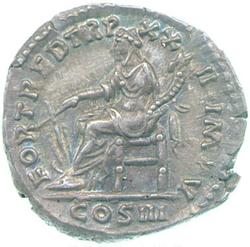 An image of Denarius