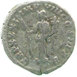 An image of Denarius