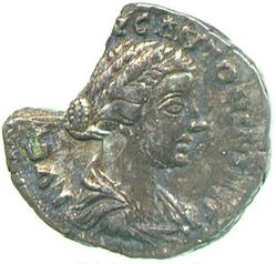 An image of Denarius