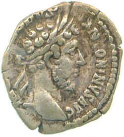 An image of Denarius