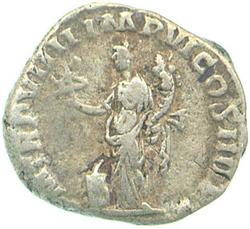 An image of Denarius