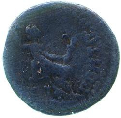 An image of Denarius