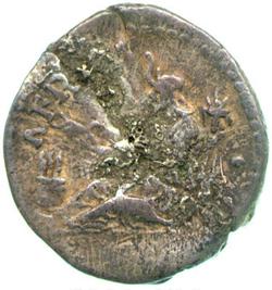 An image of Denarius