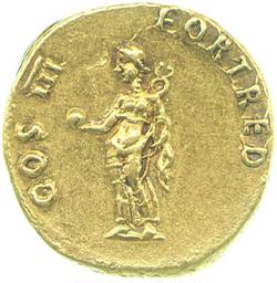 An image of Aureus