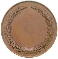 An image of University Medal