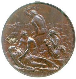 An image of Sea Gallantry Medal