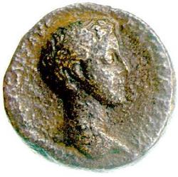 An image of Dupondius