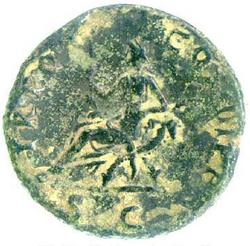 An image of Dupondius