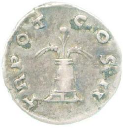 An image of Denarius