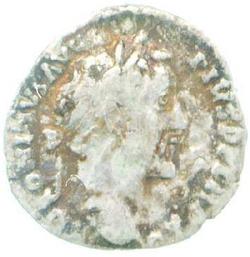 An image of Denarius