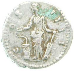 An image of Denarius