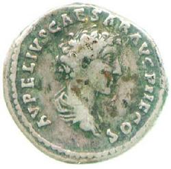 An image of Denarius