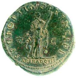 An image of Dupondius