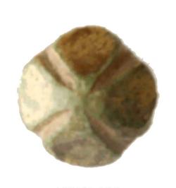 An image of Pin fragment
