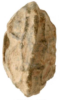 An image of Spindle whorl