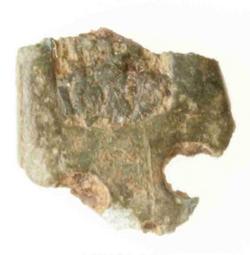 An image of Strap end fragment