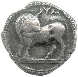 An image of Stater