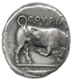 An image of Distater