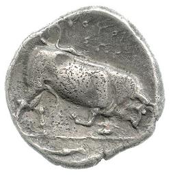 An image of Distater