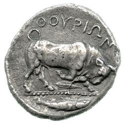 An image of Stater