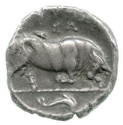 An image of Stater