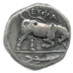 An image of Stater