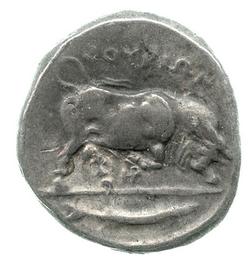 An image of Stater