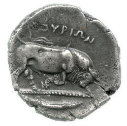 An image of Stater