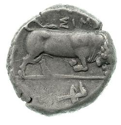 An image of Stater