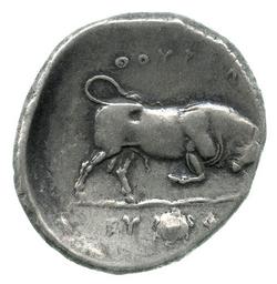 An image of Stater