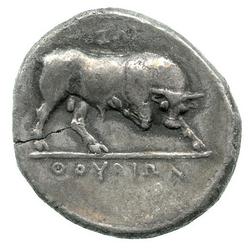 An image of Stater