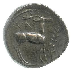 An image of Stater