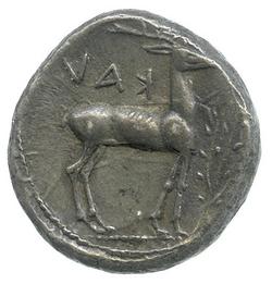 An image of Stater