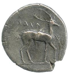 An image of Stater