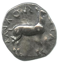 An image of Stater