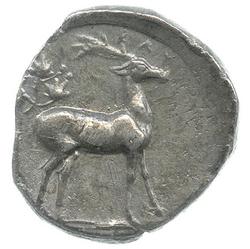 An image of Stater