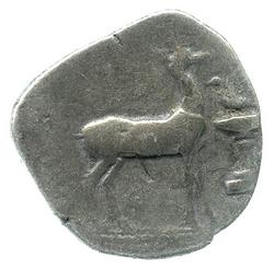 An image of Stater