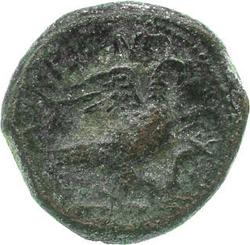 An image of Stater