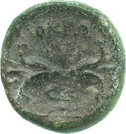 An image of Stater