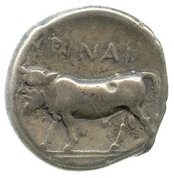 An image of Didrachm