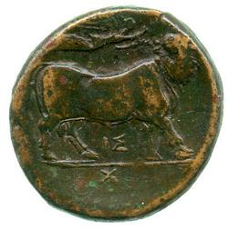 An image of Drachm