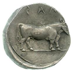 An image of Stater