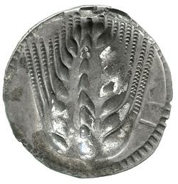 An image of Stater