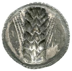 An image of Stater